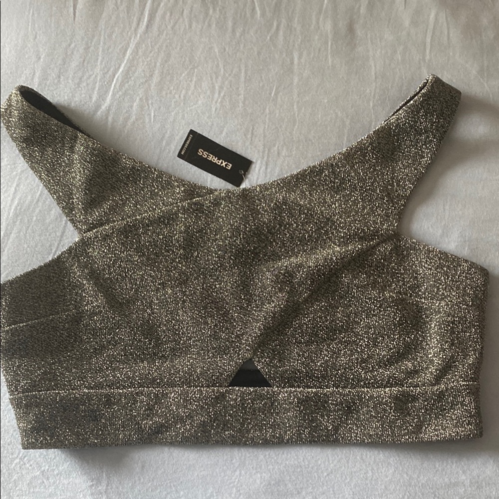 Express Metallic Crop Top